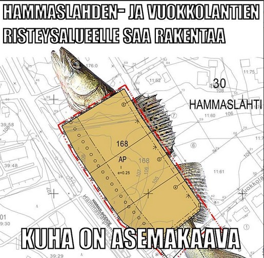 Joensuun kaupunki kuha meemi